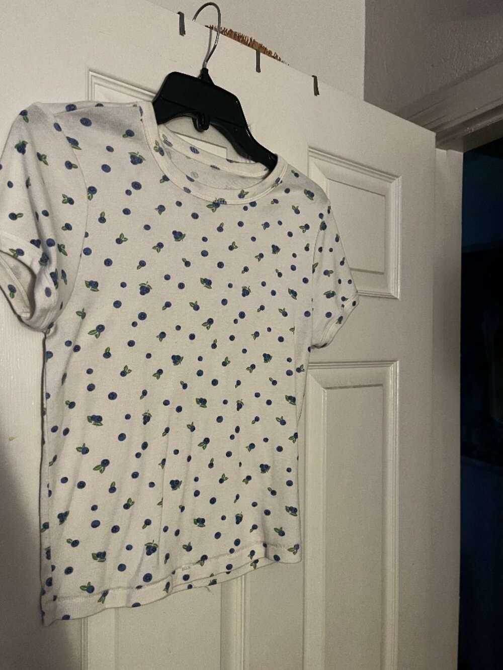 BDG Blueberry Print Baby Tee | White Graphic Fruit T-Shirt | Size XL